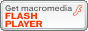 Macromedia Flash Player _E[h